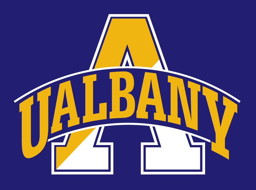 Albany Great Danes 2004-Pres Alternate Logo v3 iron on transfers for T-shirts